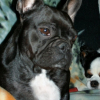 Photo de Vickie