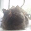 Photo de Lilou