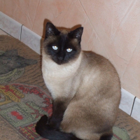 Photo de profil de Plume