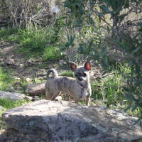 Photo de profil de Zaïnata