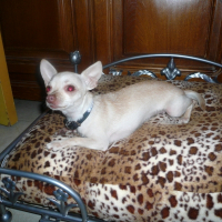 Photo de profil de Princesse