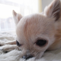 Photo de profil de Léo