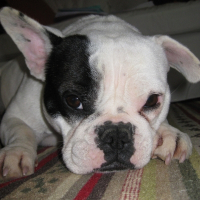 Photo de profil de Coco