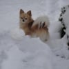 Photo de Gucci