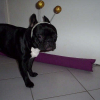 Photo de Bouba