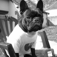 Photo de profil de Thia