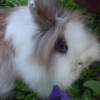 Photo de Lola