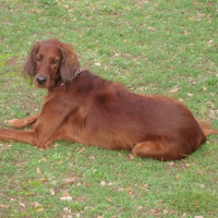 Photo de profil de Cannelle