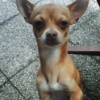 Photo de profil de Rocky