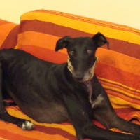 Photo de profil de Mili92