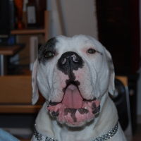 Photo de profil de Taïga