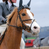 Photo de Hobby turgot