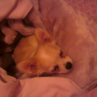 Photo de profil de Kiki