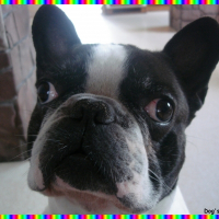 Photo de profil de Blaise
