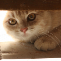 Photo de profil de éliot