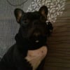 Photo de Ashiro