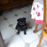 Photo de profil de Apollon