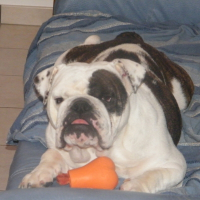 Photo de profil de Café