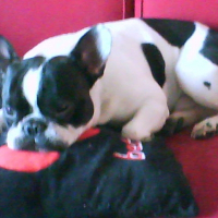 Photo de profil de Cameron