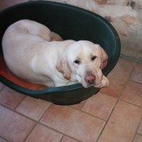 Photo de profil de Bretzel