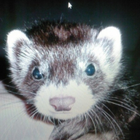 Photo de profil de Lilou