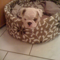 Photo de profil de Easy