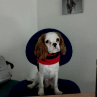 Photo de profil de Epyss