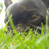 Photo de profil de Georges