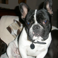 Photo de profil de Douglas