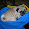 Photo de Carlos