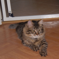 Photo de profil de Fidji