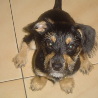 Photo de profil de Virgule