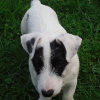 Photo de profil de Delta