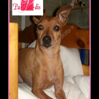 Photo de profil de Roby