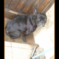 Photo de profil de Bijou