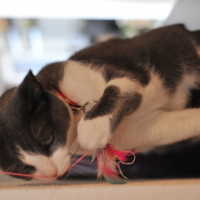 Photo de profil de Filou