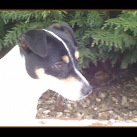 Photo de profil de Lola
