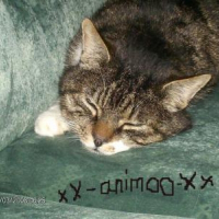 Photo de profil de Figaro