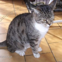 Photo de profil de Bonny