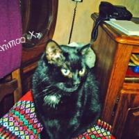 Photo de profil de Tina