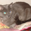 Photo de Winnie
