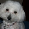 Photo de Charly