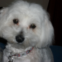 Photo de profil de Charly