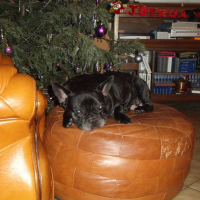 Photo de profil de Max