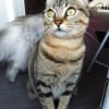 Photo de Myrtille