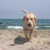 Photo de Vanille