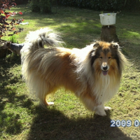 Photo de profil de Balou