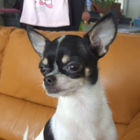 Photo de profil de Luna