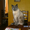 Photo de Marquis