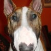 Photo de Eros63